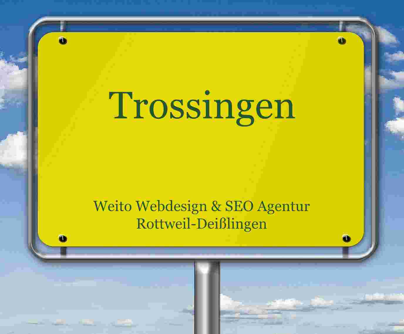 Webseite erstellen - Trossingen Wir erstellen in Trossingen Webseiten