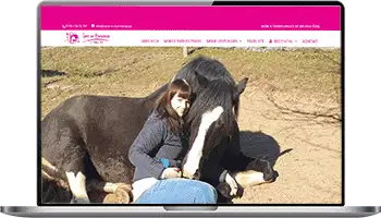Tiere in Harmonie Melissa Stein Tiere in Harmonie Tierheilpraxis